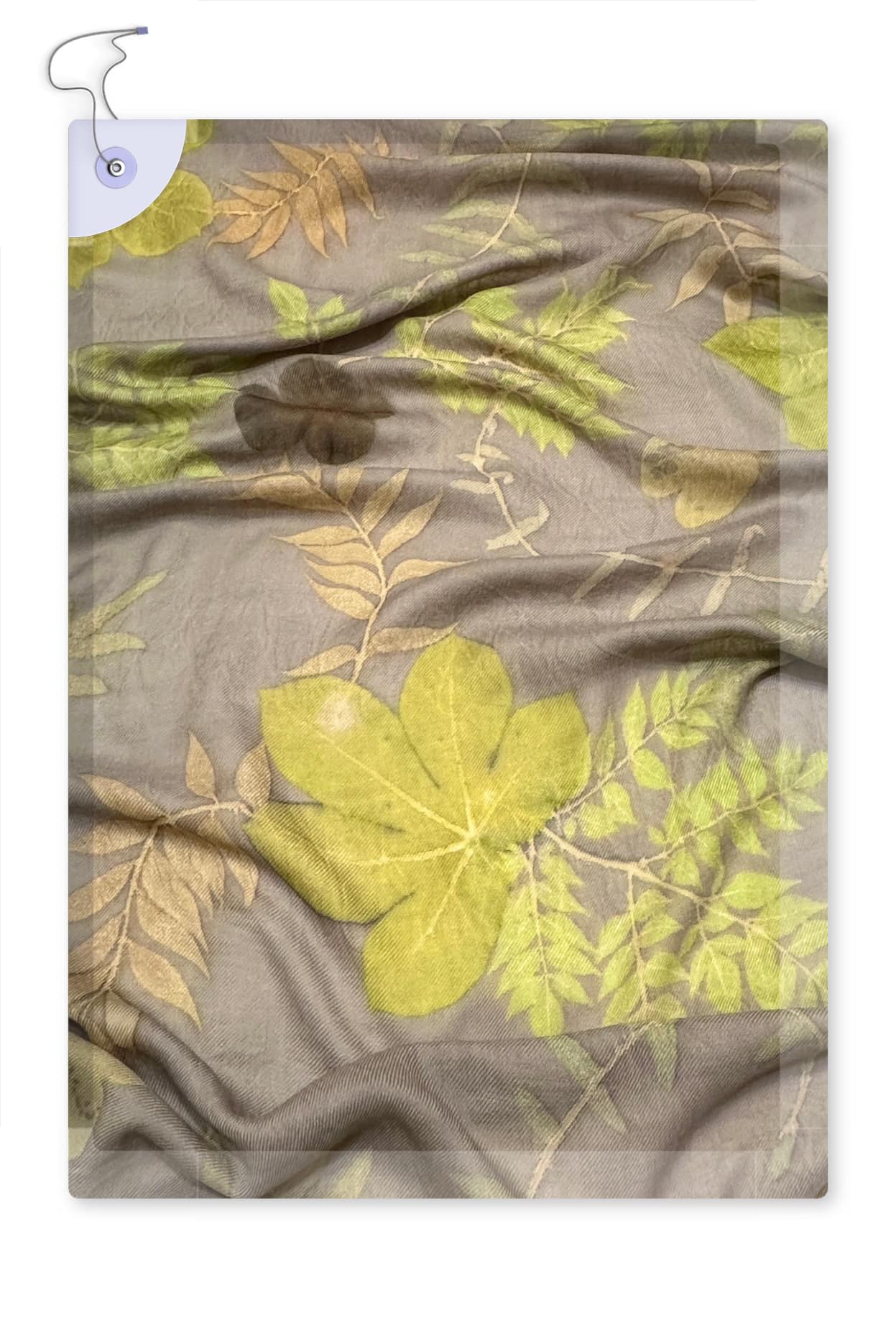 可能是文字的圖像